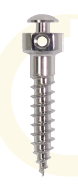 Buccal shelf screw